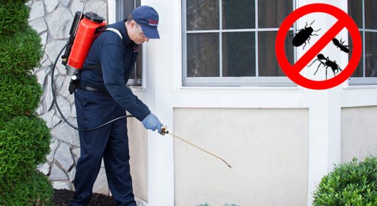 Ordu Bit İlaçlama böcek ilaçlama ve haşere kontrolü — ilaclama-tr.com
